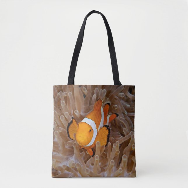 Clownfish - Molokai, North Shore Cliff (Vorderseite)