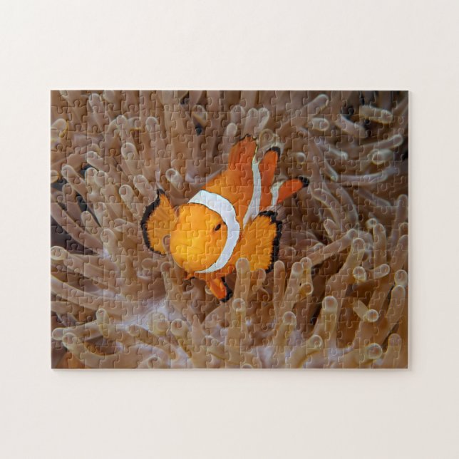 Clownfish - Molokai, North Shore Cliff Puzzle (Horizontal)