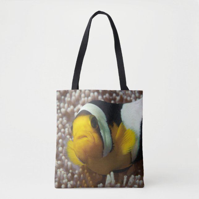 Clownfish - Nah-up! So niedlich - Nemo in Anemone  (Vorderseite)