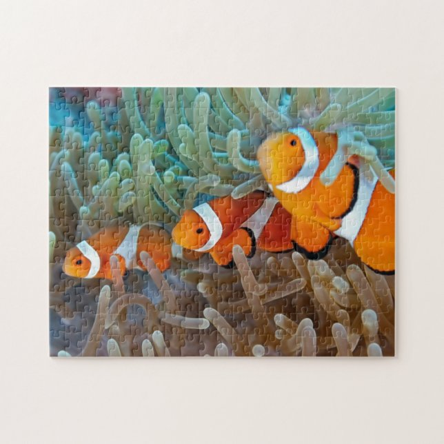 Clownfish Puzzle (Horizontal)