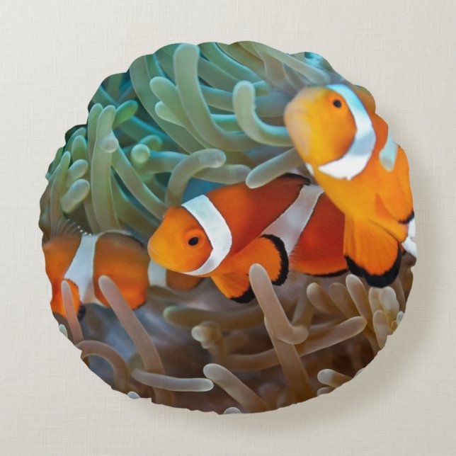 Clownfish Rundes Kissen (Vorderseite)