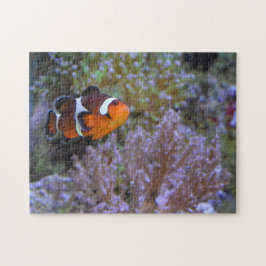 Clownfish Sea Anemone Coral Underwater Foto Puzzle