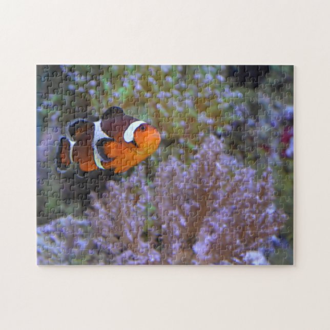 Clownfish Sea Anemone Coral Underwater Foto Puzzle (Horizontal)