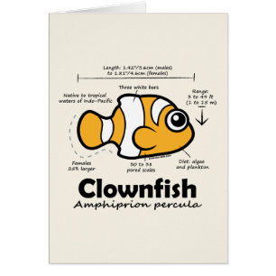 Clownfish Statistiken