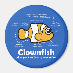 Clownfish Statistiken Magnet