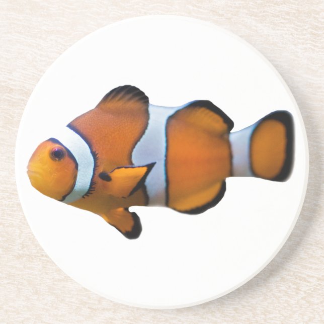 Clownfish Untersetzer (Vorne)