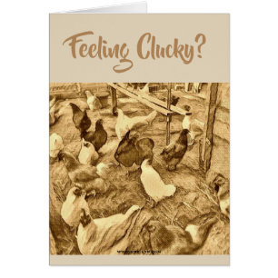 CLUCKY HUHN-KARTE