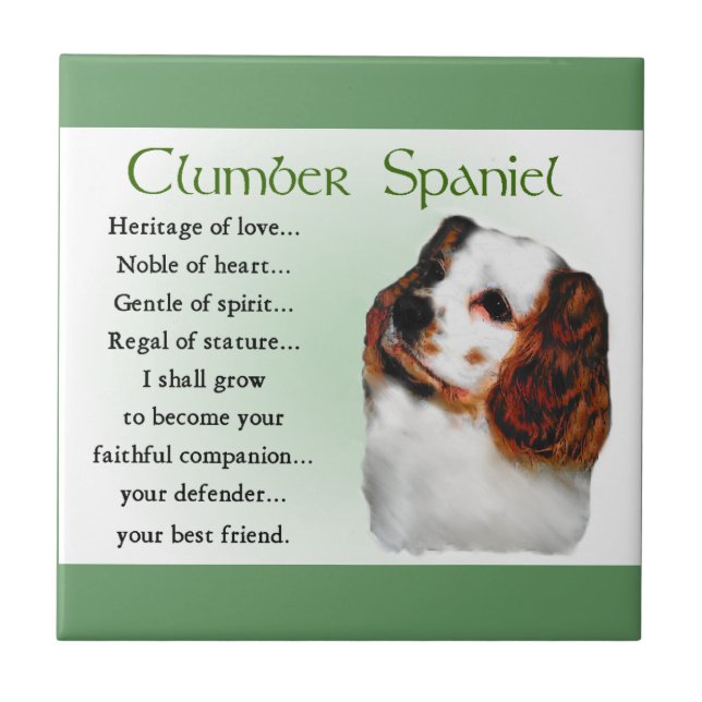 Clumber Spaniel Erbe der Liebe Fliese (Vorderseite)