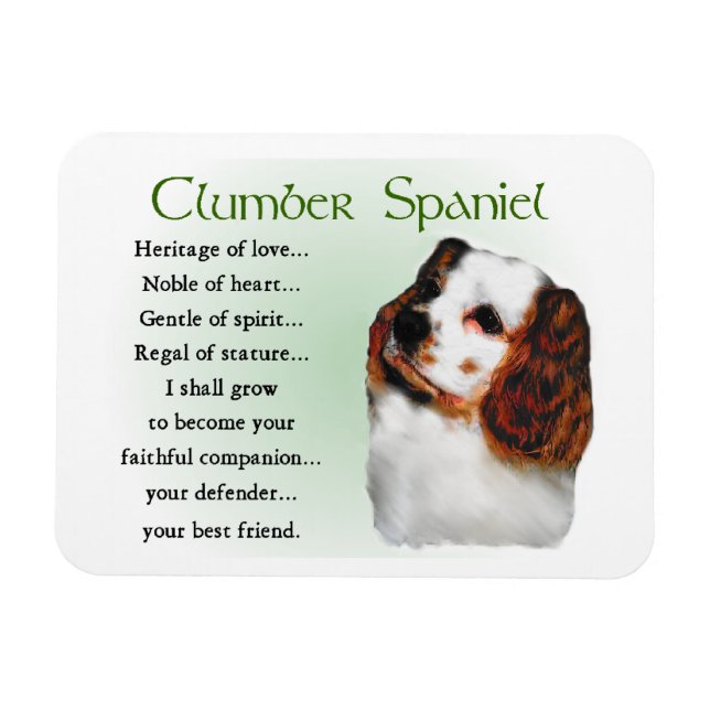 Clumber Spaniel Erbe der Liebe Magnet (Horizontal)