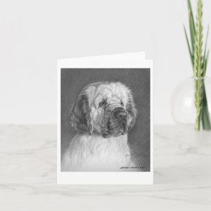 Clumber Spaniel Fine Art von Glenda S. Harlan