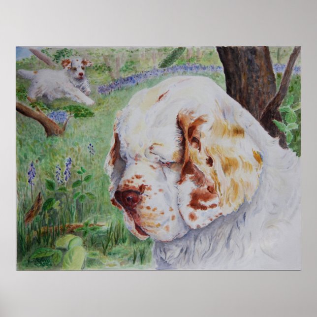 Clumber Spaniel - Frühjahrswoodland-Druck Poster (Vorne)