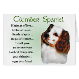 Clumber Spaniel Geschenke
