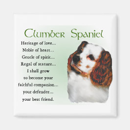 Clumber Spaniel Geschenke Magnet