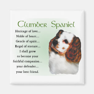 Clumber Spaniel Geschenke Magnet