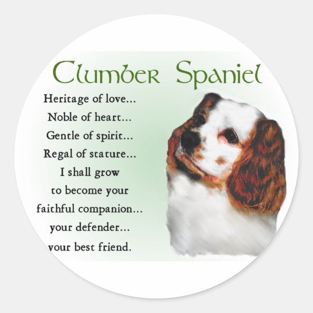 Clumber Spaniel Geschenke Runder Aufkleber (Vorderseite)
