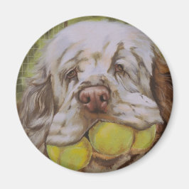 Clumber Spaniel Magnet