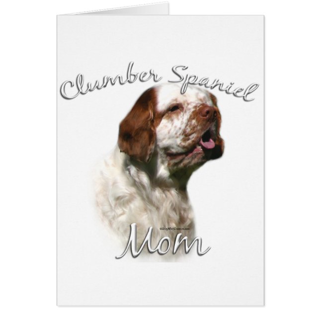 Clumber Spaniel Mama 2 (Vorne)