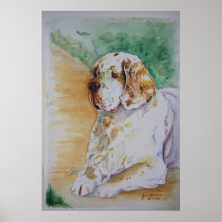 Clumber Spaniel - My Friend Print Poster