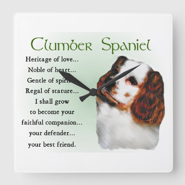 Clumber Spaniel Puppy Quadratische Wanduhr (Vorderseite)