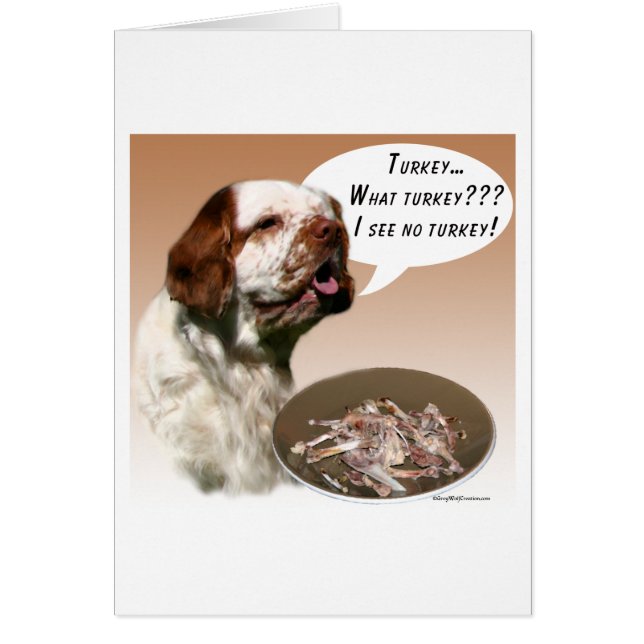 Clumber Spaniel Türkei (Vorne)