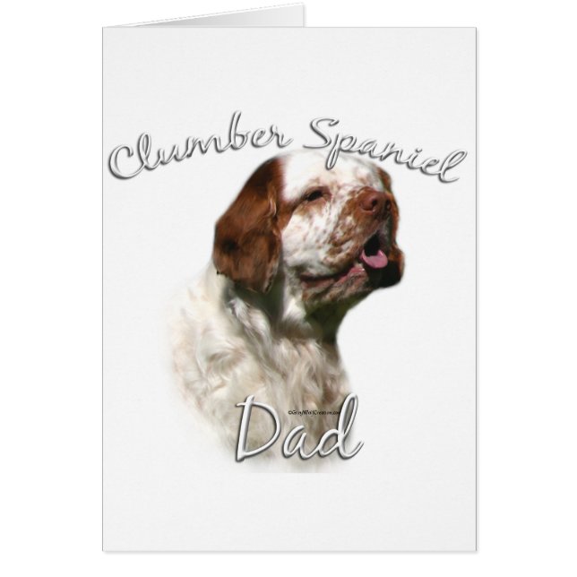Clumber Spaniel Vater 2 (Vorne)
