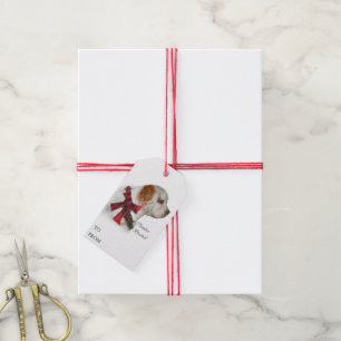 Clumber Spaniel Weihnachten Geschenkanhänger