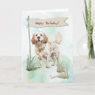 Clumber Spaniel züchten Hund unter Geburtstagszeic Karte