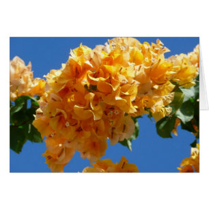 Cluster Golden Bougainvillea Floral