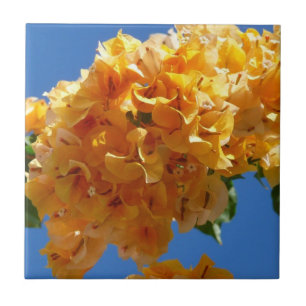 Cluster Golden Bougainvillea Floral Fliese