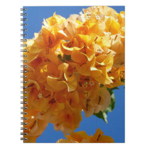 Cluster Golden Bougainvillea Floral Notizblock