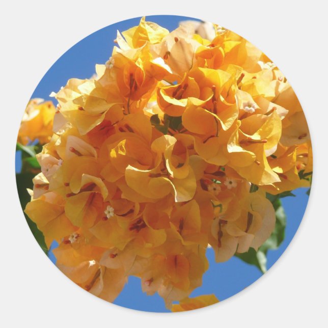 Cluster Golden Bougainvillea Floral Runder Aufkleber (Vorderseite)