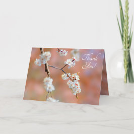 Cluster japanischer Aprikosen/Blume Dankeskarte