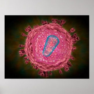 Cluster von HIV-Virus 2 Poster