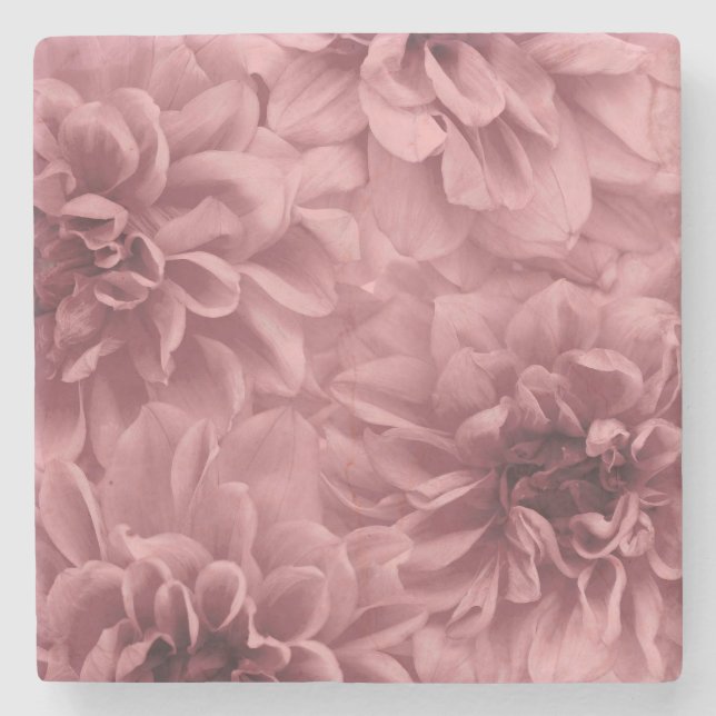 Cluster von Light Mauve Dahlia-Blume Steinuntersetzer (Vorderseite)