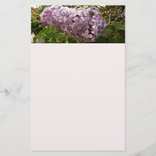 Cluster von Lilac Blossoms Frühlingsblumen Briefpapier