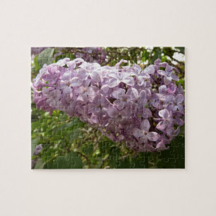 Cluster von Lilac Blossoms Frühlingsblumen Puzzle