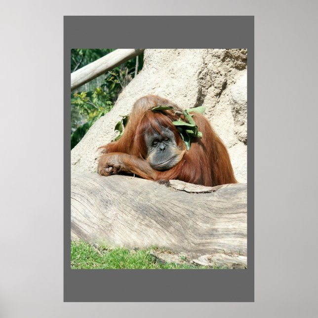 Clyde Poster (Vorne)