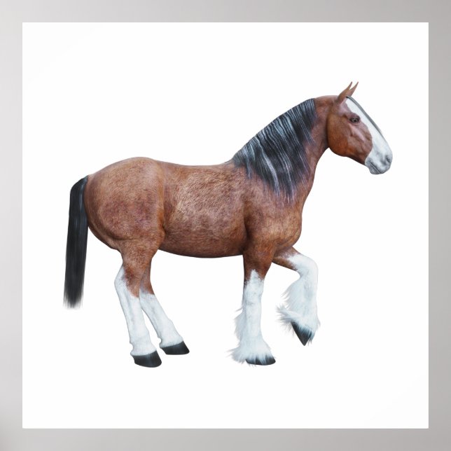 Clydesdale 3 poster (Vorne)