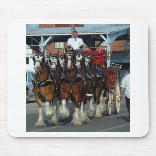 Clydesdale 6 Pferdeanhängevorrichtung Mousepad (Vorne)