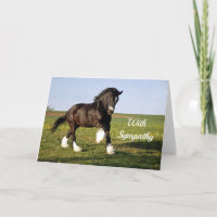 Clydesdale-Beileid