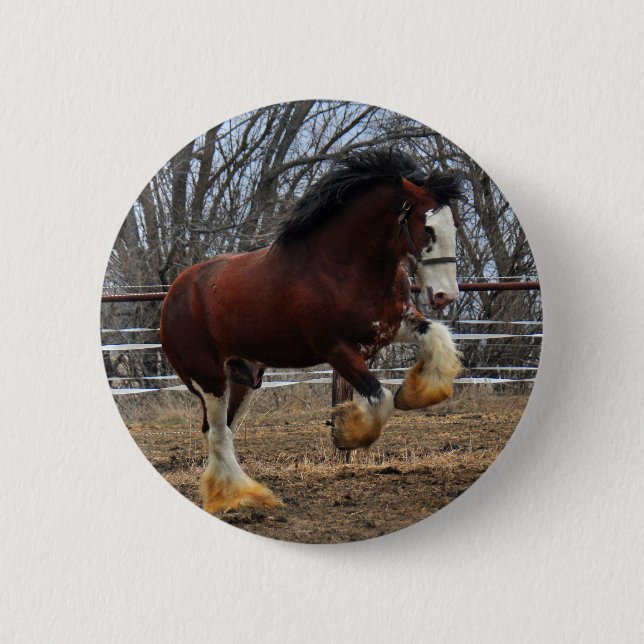 Clydesdale Bolzen-Coltbetrieb Button (Vorderseite)