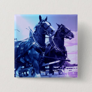 Clydesdale Button