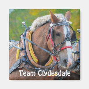Clydesdale Entwurf Pferd Team Magnetic Art Geschen Magnet