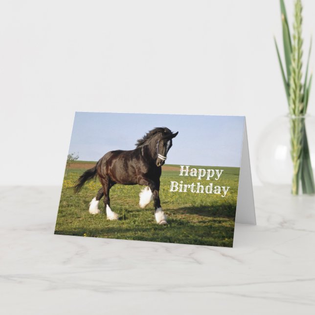 Clydesdale Geburtstag Karte (Vorderseite)