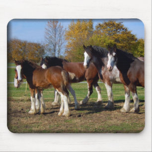 clydesdale Gruppe Mousepad