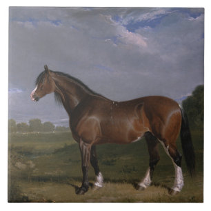 Clydesdale-Hengst (Englisches Vollblutpferd) (Tier Fliese