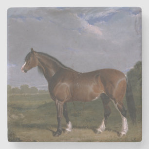 Clydesdale-Hengst (Englisches Vollblutpferd) (Tier Steinuntersetzer