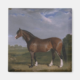 Clydesdale Hengst (Vollblutpferd) (Tier) Magnet