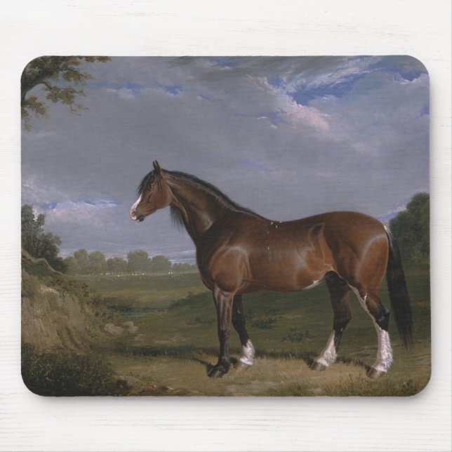 Clydesdale Hengst (Vollblutpferd) (Tier) Mousepad (Vorne)