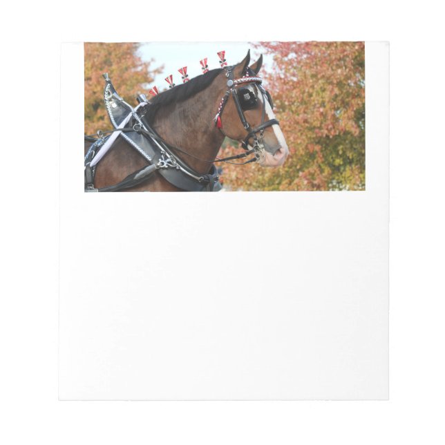 Clydesdale Horse Notepad Notizblock (Vorderseite)